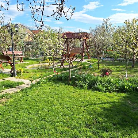 Trend Bed and Breakfast Αράντ Εξωτερικό φωτογραφία